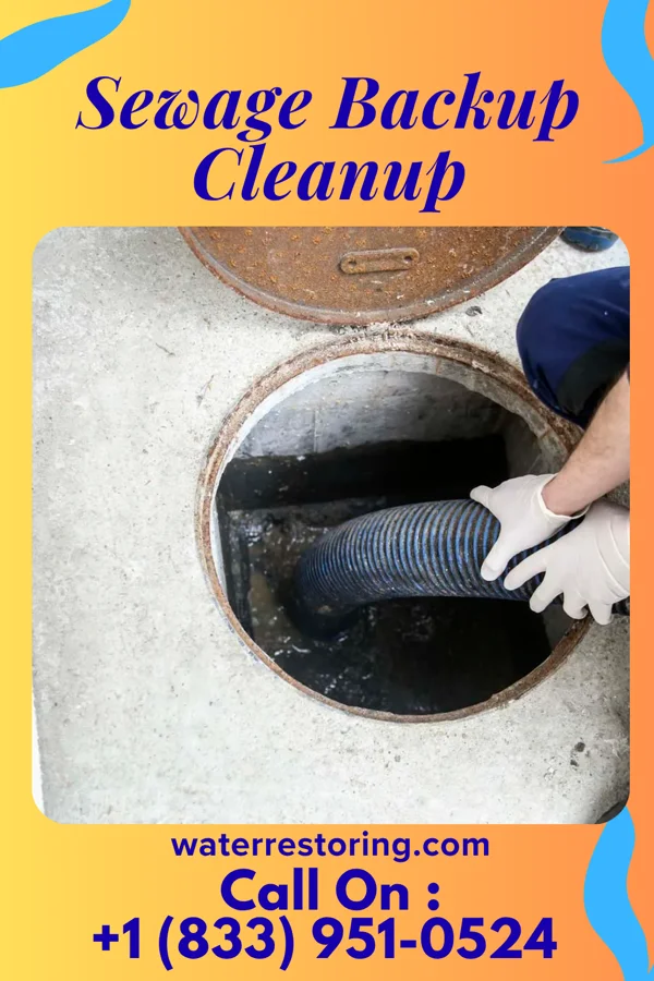 Sewage Backup Cleanup in Dorrance, KS